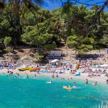 Cozy Michelle With Private Pool Near Pula