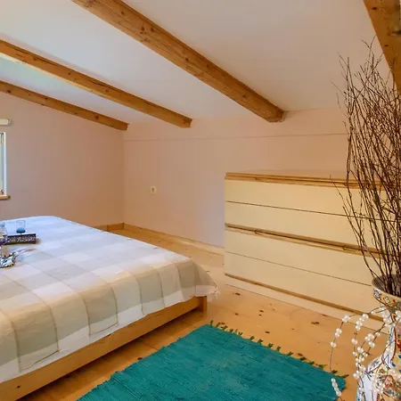 Vila Cozy Michelle With Private Pool Near Pula *