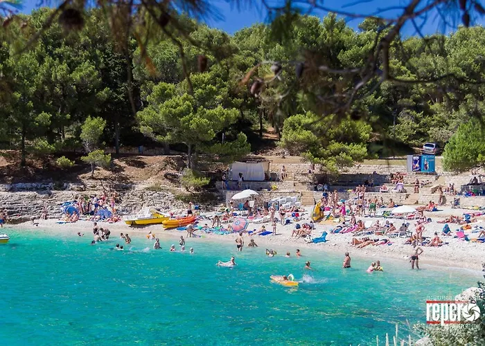 Cozy Michelle With Private Pool Near Pula